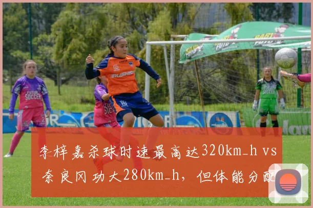 李梓嘉杀球时速最高达320km_h vs 奈良冈功大280km_h，但体能分配致后两局失误率飙升